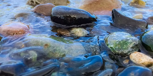 Homeschool Science Series: Water Quality & River Exploration Ages 5-8 yrs