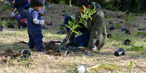 Annual Arbor Day Community Planting