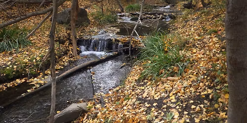 Ruta Casta\u00f1ar Rosandr\u00e1-Horcajo-Castillo de la Caba.