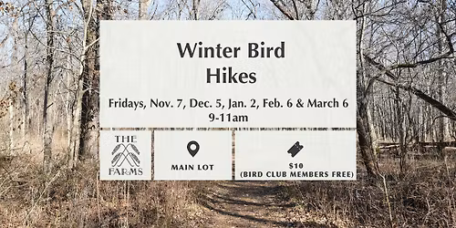 Winter Bird Hikes