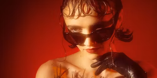 Sir Chloe - Rochester, NY