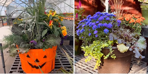 Fall Planter Class Thursday, September 17TH @ 6PM