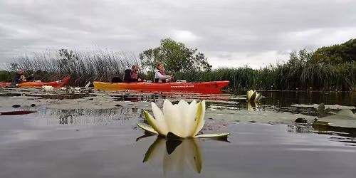 Bodrog-\u00e1rt\u00e9r M\u00e1jusban