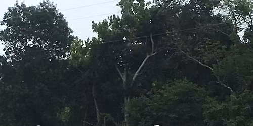 Ranch Horse Open Show