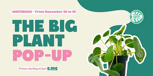 The Big Plant Pop-Up - Amsterdam