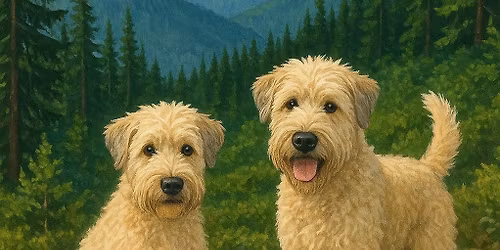 NORTH SHORE \u26f0\ufe0f Upper Mosquito Creek romp on Remembrance Day 