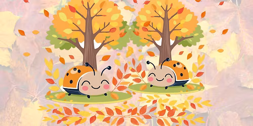 Usp\u00e1v\u00e1n\u00ed brou\u010dk\u016f