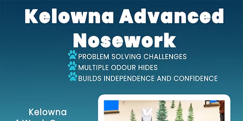 Pawsitively Canine Presents Advanced Nosework Kelowna July 9th