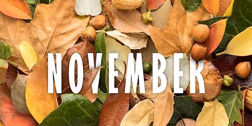 November Monthly Meeting