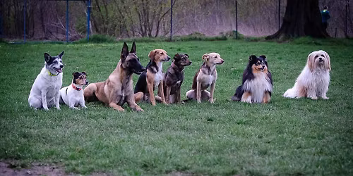 Poho\u010f\u00e1k - 2. ro\u010dn\u00edk neofici\u00e1lnych pretekov na An\u010di