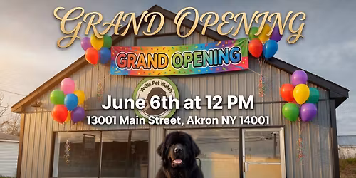 Yogis pet watch grand opening