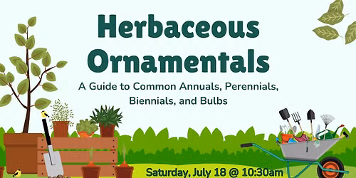 Herbaceous Ornamentals: A Guide to Common Annuals, Perennials, Biennials, and Bulbs