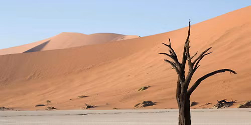 Burnout & Overwhelm: a systemic constellation approach