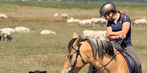 RALLYE DES TROIS CLOCHERS \u2013 3\u1d49 \u00c9DITION \ud83d\udc0e\ud83d\udce3