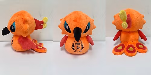 Phoenix Manchester Feisty and Fluffy Run