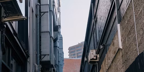 Queen Porter Stomp | Bermagui NSW