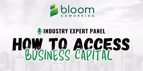 How to Access Business Capital - Industry Expert Panel