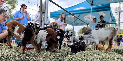 New Milford GOAT Days