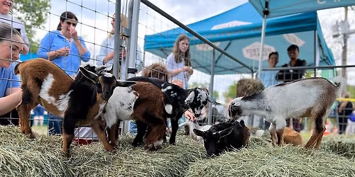 New Milford GOAT Days