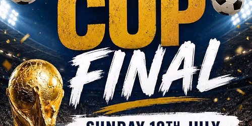 FIFA WORLD CUP FINAL