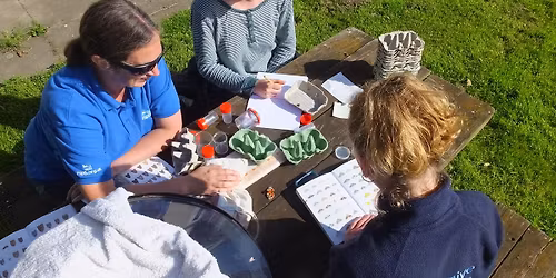 Moth Morning at Mersehead