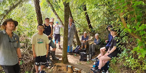 Friends of Oratau Reserve Volunteer Morning