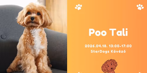 Poo tali a StarDogs-ban