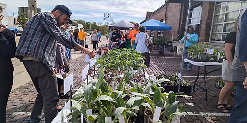 Outdoor Farmers Market Grand Opening
