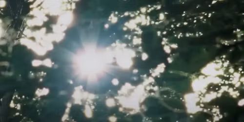 Makaya McCraven in Woodstock