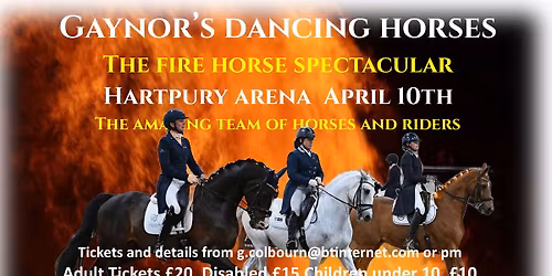 Gaynor's Dancing Horses Spectacular