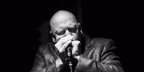 Ronnie Ray live music