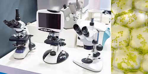 Homeschool Microscope Essentials