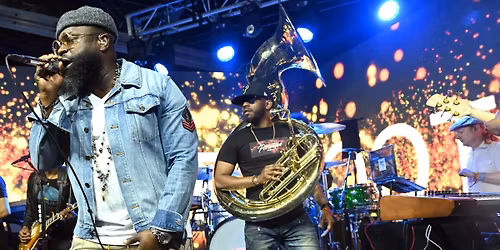 A Roots Picnic Experience