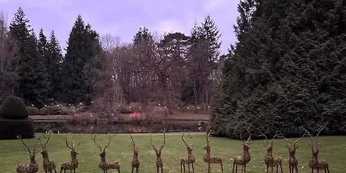 Willow Deer Workshop at Thorp Perrow