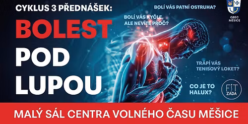 Semin\u00e1\u0159 Bolest pod lupou - Bolesti horn\u00edch a doln\u00edch kon\u010detin