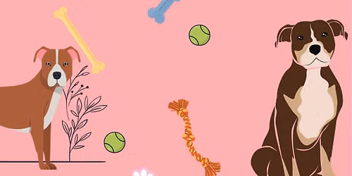 Adoptable Dog Meet n Greet. 