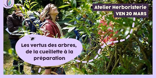 Atelier herboristerie : Les vertus des arbres, de la cueillette \u00e0 la pr\u00e9paration