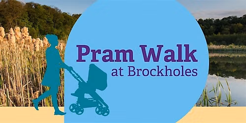 Brockholes Pram Walk