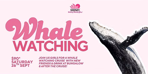Whale Watching | Sydney Working Holiday Girls