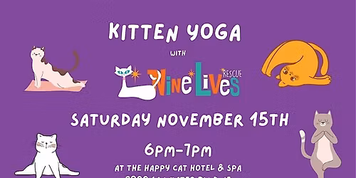 Cat Yoga at Happy Cat Hotel and Spa