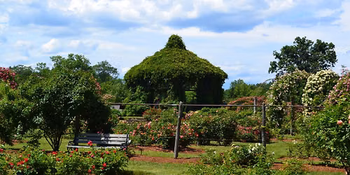 Rose Garden Tour