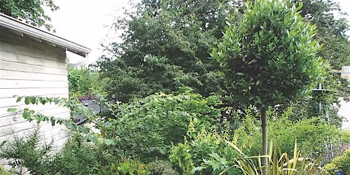 Climate Resilience: At Home, In Your Yard, and Beyond