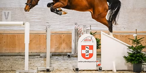 Swiss Breed Classics