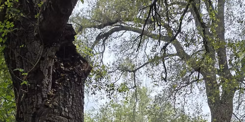 \ud83c\udf44November Walk w\/Family and Friends! \ud83c\udf44