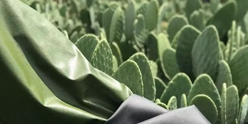 TALK: Innovations of cutting-edge vegan materials with Sascha Camilli