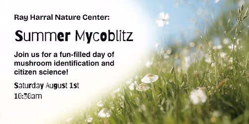 Summer Mycoblitz - Fungi Foray