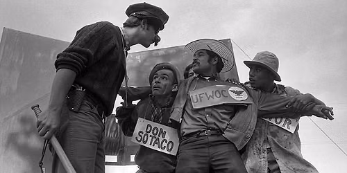 American Pachuco: The Legend of Luis Valdez