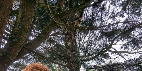 Cumbria Seed Bank: Young Environmental Leaders