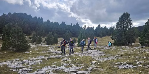 Sur la piste du loup