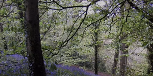 Seasonal Somatics Series - November 2025